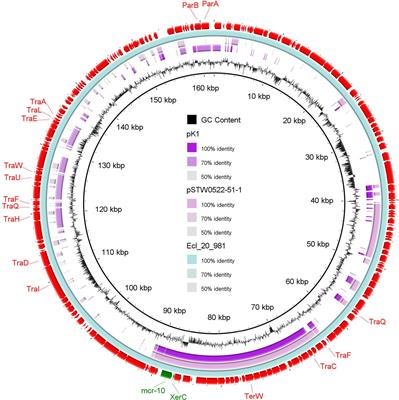 Whole-Genome Sequencing of Gram-Negative Bacteria Isolated From Bovine Mastitis and Raw Milk: The First Emergence of Colistin mcr-10 and Fosfomycin fosA5 Resistance Genes in Klebsiella pneumoniae in Middle East